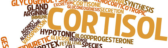 taux cortisol apres chirurgie obesite