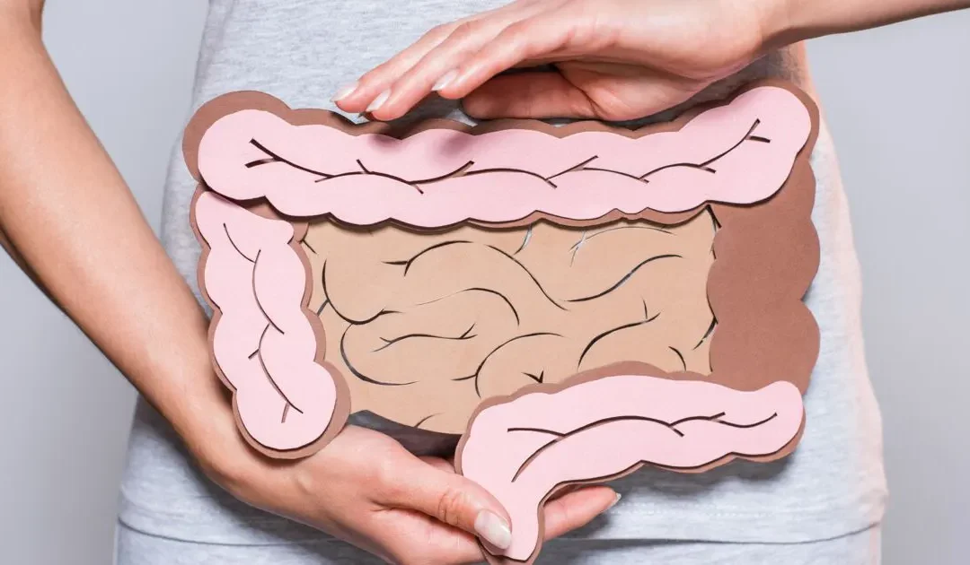Est-ce que l’estomac peut s’étirer après une sleeve gastrique ?